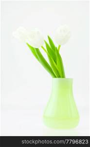 white tulips in a green vase