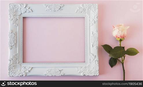white vintage frame fresh bloom. Beautiful photo. white vintage frame fresh bloom