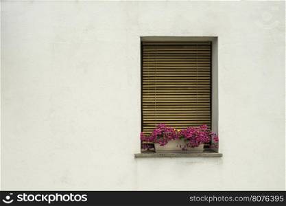 White wall and venetian style windows with pink flowers