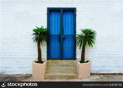 White wall brick background with blue door and palm trees.