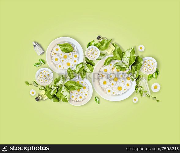 White water bowls with daisies flowers, green leaves and natural cosmetic products for skin care on light green desk background. Top view. Modern beauty concept. Healthy lifestyle. Composition
