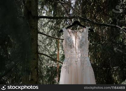 White wedding dress of the bride hangs on a tree branch in the forest. wedding dress on a tree in the park.bridesmaid dress on a tree branch