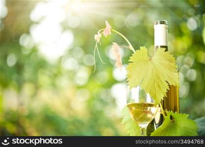 White wine bottle, grapevine and wineglass against green spring background