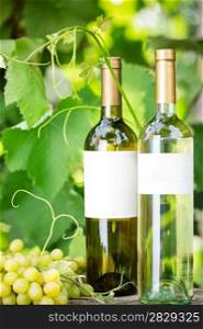 White wine bottles and bunch of grapes against vineyard
