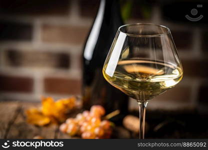 White wine in a glass with fall grapes, dark wooden background. White wine in a glass