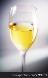 White wine in wine glass