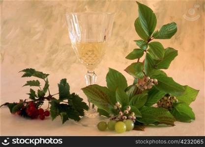 white wine with fruits on painted background
