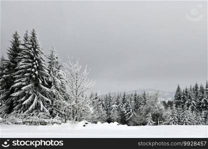 white winter landscape