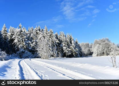 white winter landscape in the Rhon