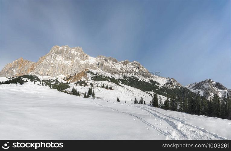 White winter panorama with snowy Austrian Alps mountains, snow-covered trees, and snowdrifts, near Ehrwald, Austria, on a sunny day of December.