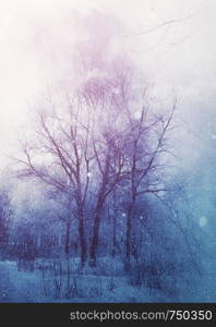 White winter trees in the park under snowfall, photomanipulation.