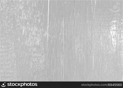 White wood wall texture