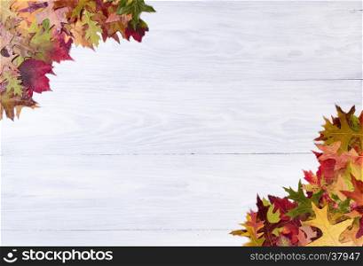 White wooden background with autumn leaves in corners.