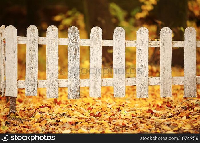 White wooden fence in autumn park. Background with yellow leaves. Time to school. White wooden fence in autumn park. Background with yellow leaves. Time to school.