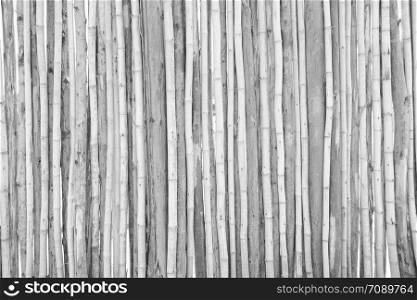 White wooden fence wall of construction of a rural forest for design in your work backdrop concept.