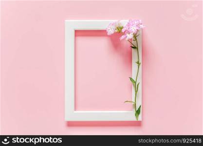 White wooden picture frame and flowers on pink background with copy space. Creative Top view Flat lay Mock up Template for invitstion, greeting card.. White wooden picture frame and flowers on pink background with copy space. Creative Top view Flat lay Mock up Template for invitstion, greeting card