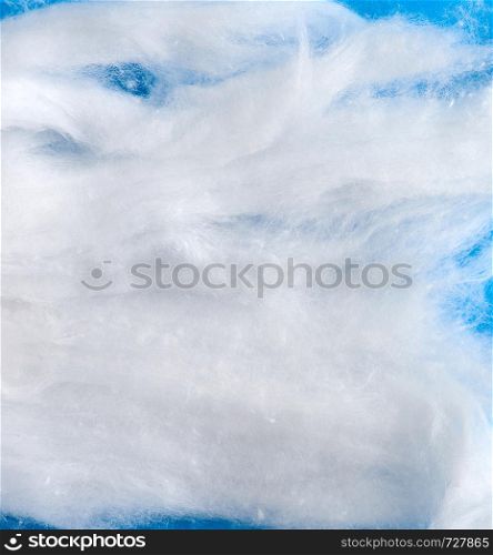 white wool with torn edges on a blue background, close up