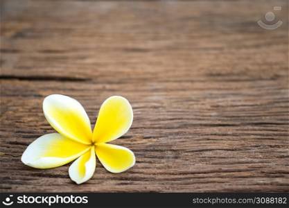 White yellow flower plumeria or frangipani on crystalline water. Spa meditation mood, plumeria or frangipani on peace nature. Spa and wellness background