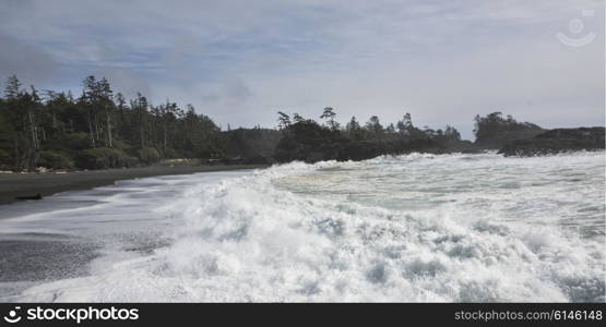 Whitecaps on the beach, Pacific Rim National Park Reserve, Tofino, Vancouver Island, British Columbia, Canada