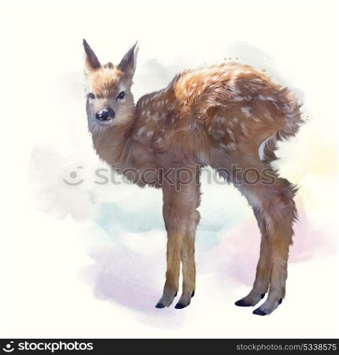 whitetail deer fawn watercolor painting. whitetail deer fawn watercolor