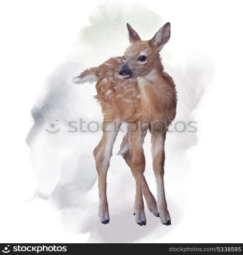 whitetail deer fawn watercolor painting. whitetail deer fawn watercolor