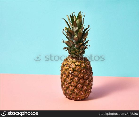 Whole appetizing pineapple isolated on a blue pink paper background. Tropical Fruit. Ripe pineapple isolated on a blue pink paper background. Exotic Fruit