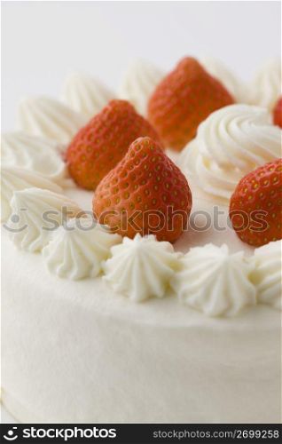 Whole cake