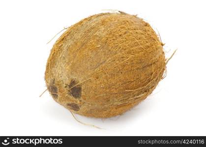 Whole coconut on white background