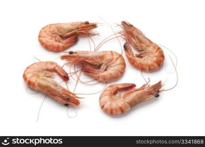 Whole cooked shrimps on white background