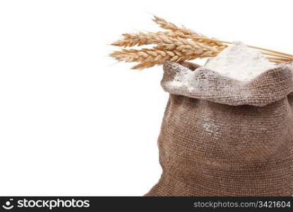 Whole flour with wheat ears