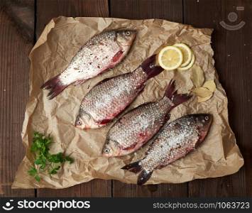 whole fresh crucian fish with scales on a crumpled brown piece of paper, table of boards, top view