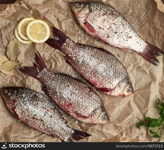 whole fresh crucian fish with scales on a crumpled brown piece of paper, top view