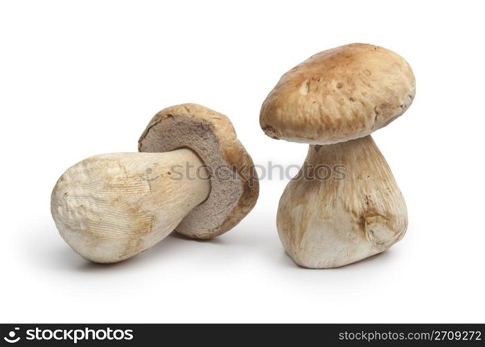 Whole fresh porcini mushrooms isolated on white background