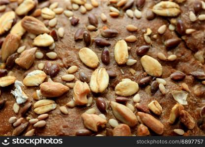 Whole grain sandwich, brown with seeds fresh from bake off, closeup