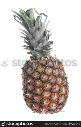 Whole pineapple set agains white background.