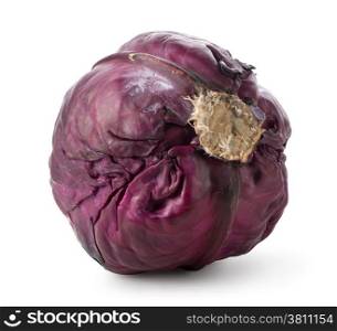 Whole purple cabbage isolated on a white background