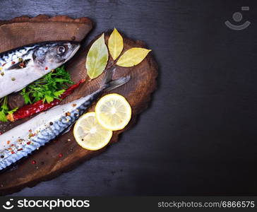 Whole raw fish mackerel on an iron plate in the middle of spices and herbs, top view