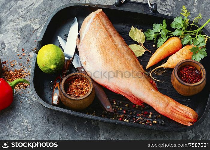 Whole raw fresh red perch or seabass.. Raw red perch