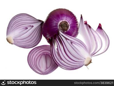Whole red onion and cuts isolated on white background