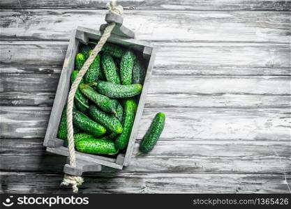 Whole ripe cucumbers in the box. On wooden background. Whole ripe cucumbers in the box.