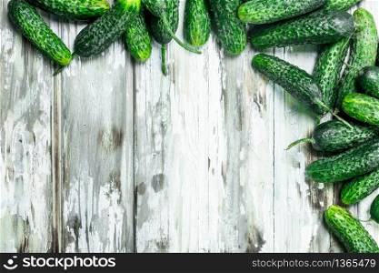 Whole ripe fresh cucumbers. On white wooden background. Whole ripe fresh cucumbers.