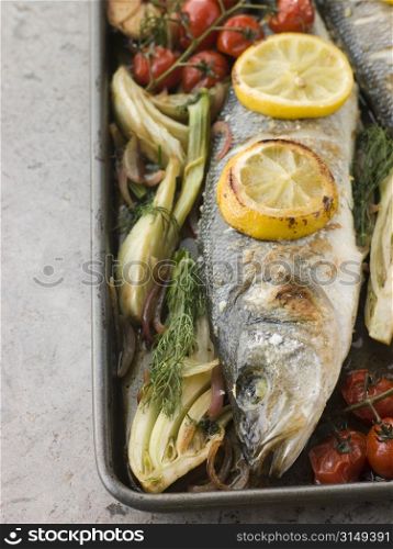 Whole Sea Bass Roasted with Fennel Lemon Garlic and Cherry Tomatoes on the Vine