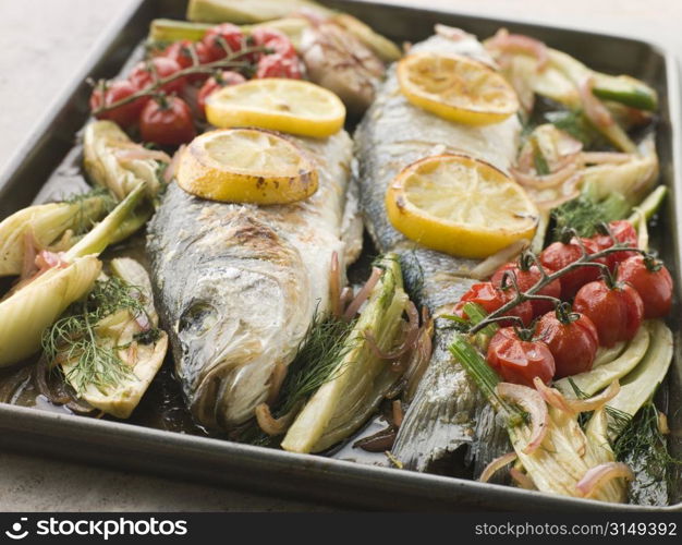 Whole Sea Bass Roasted with Fennel Lemon Garlic and Cherry Tomatoes on the Vine