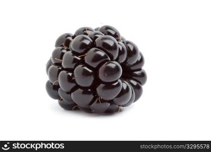 Whole single blackberry at white background