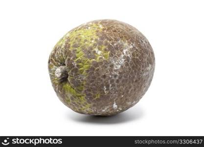 Whole single breadfruit on white background