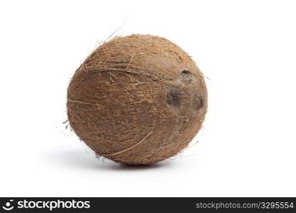 Whole single coconut isolated on white background