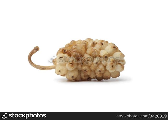 Whole single dried mulberry on white background
