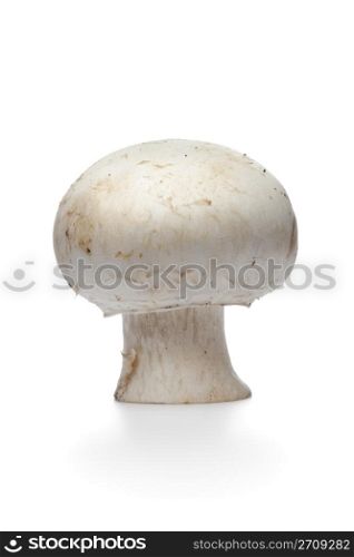 Whole single fresh button mushrooms, champignons, isolated on white background