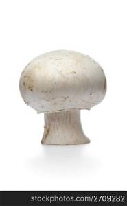 Whole single fresh button mushrooms, champignons, isolated on white background