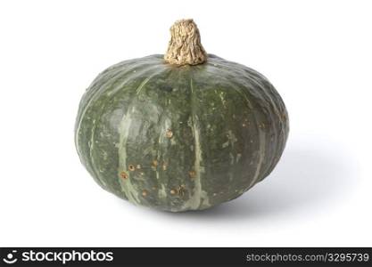 Whole single green pumpkin isolated on white background
